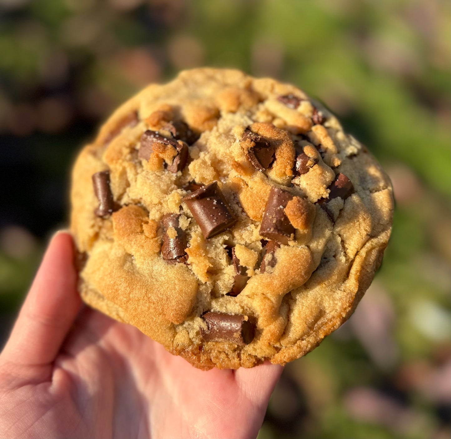 The Every Recipe Bundle - Single Cookie Recipes