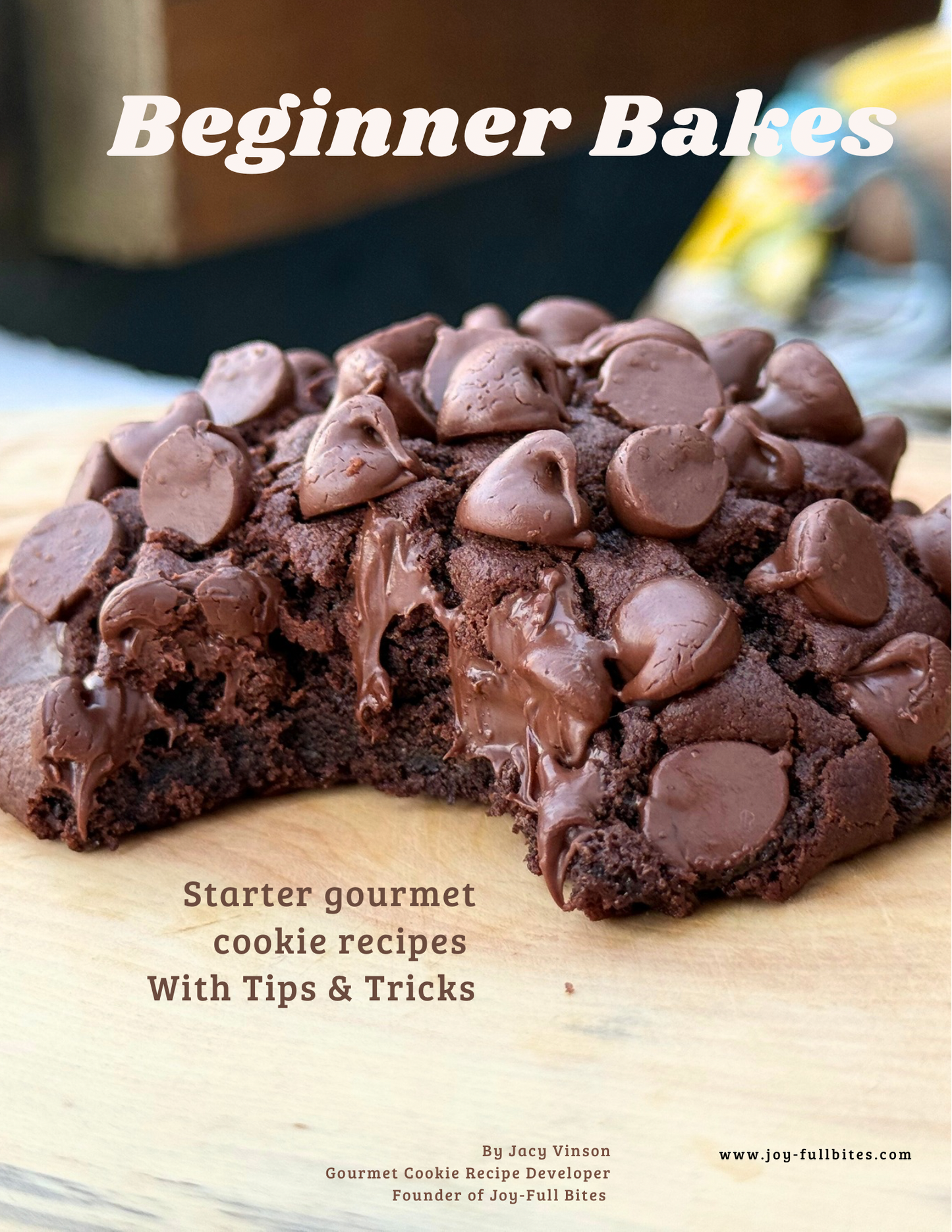 Beginner Bakes Mini Cookbook