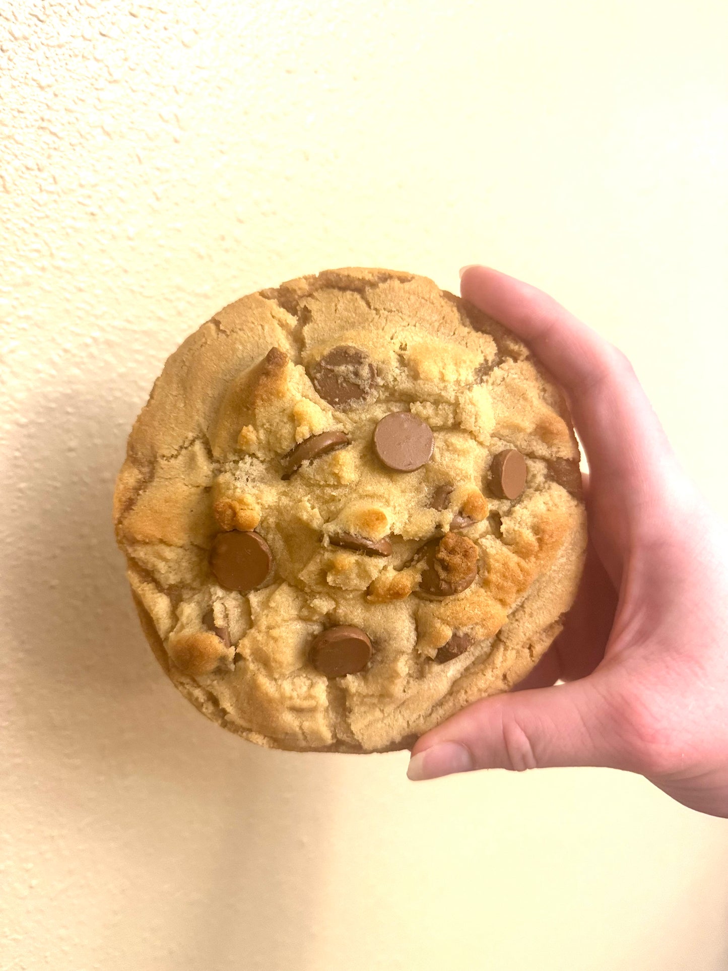 The Every Recipe Bundle - Single Cookie Recipes